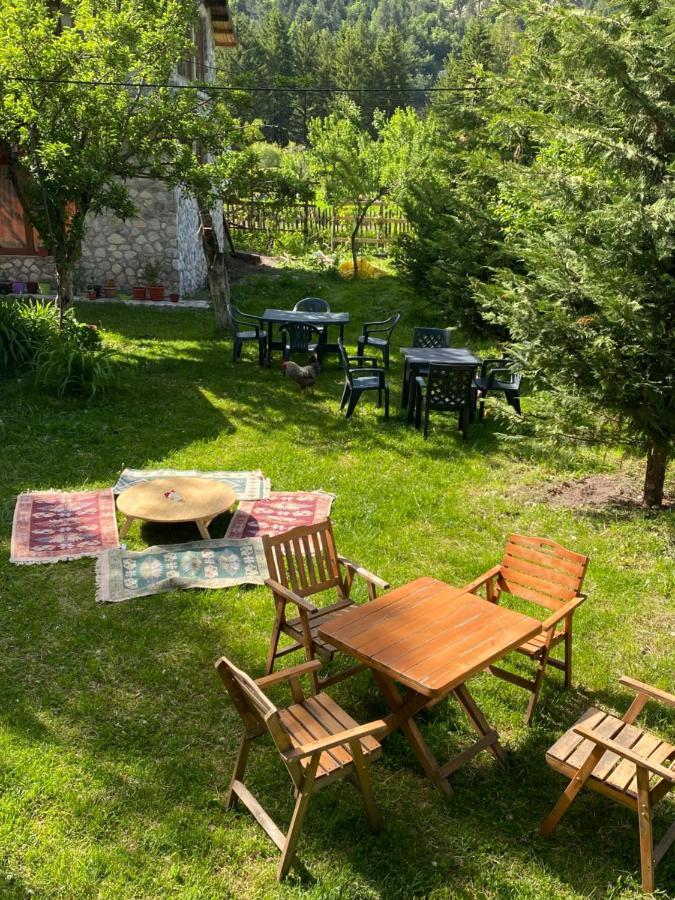 Guesthouse Demushi Valbone Ngoại thất bức ảnh