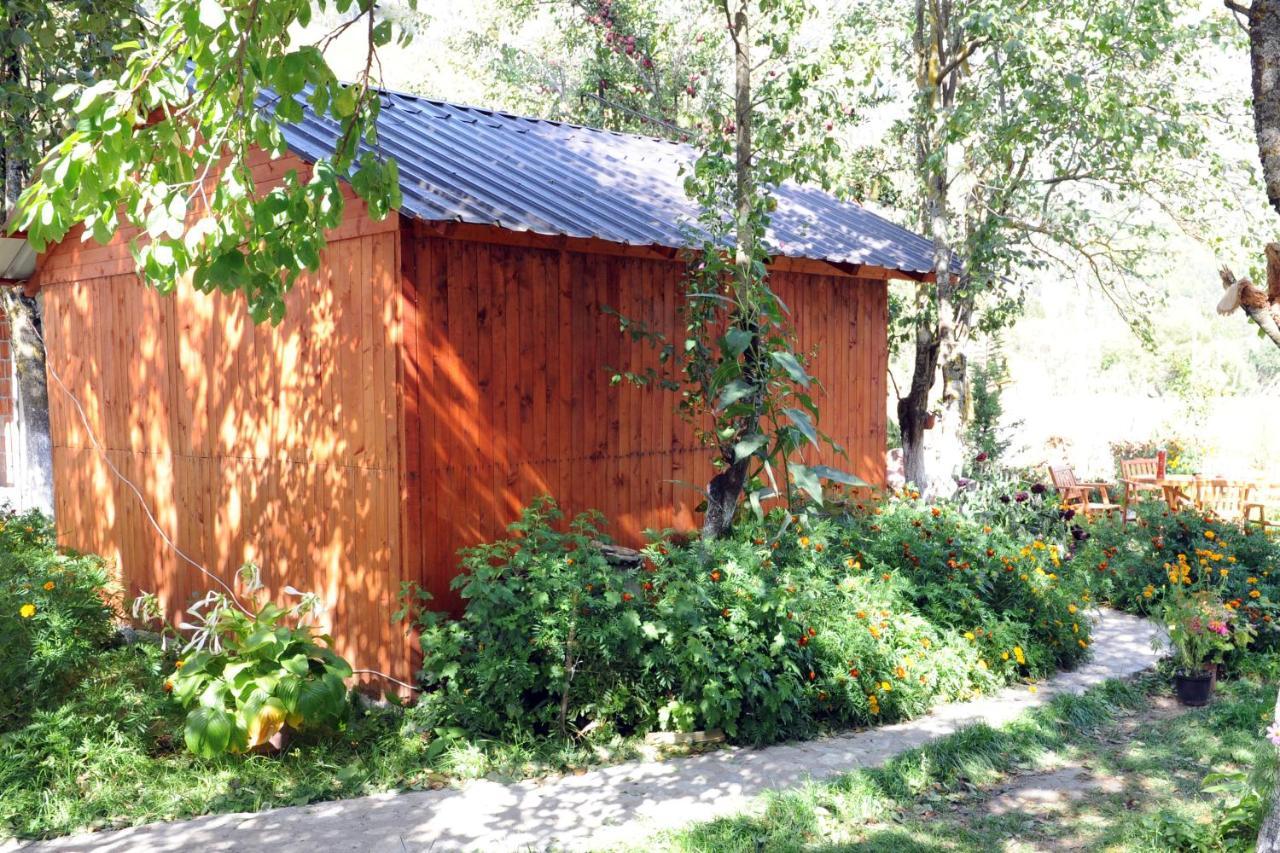 Guesthouse Demushi Valbone Ngoại thất bức ảnh